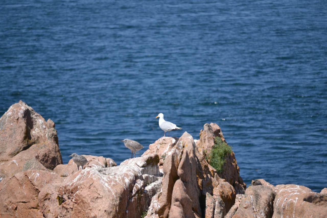 De La Marina Dans La Presqu'île De Lézardrieux